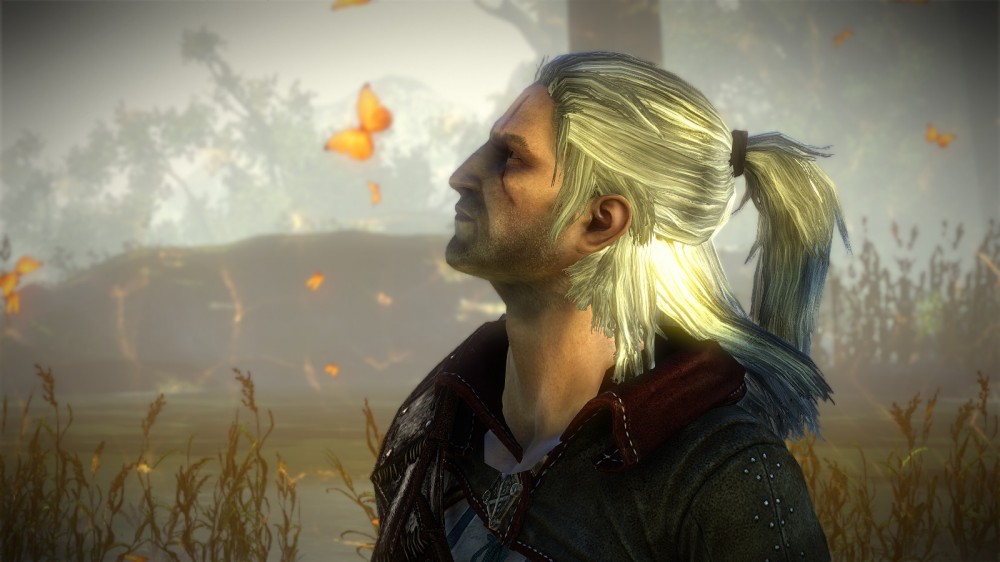 The Witcher 2: Assassins of Kings