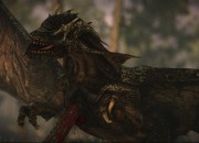 The Witcher 2 screenshot