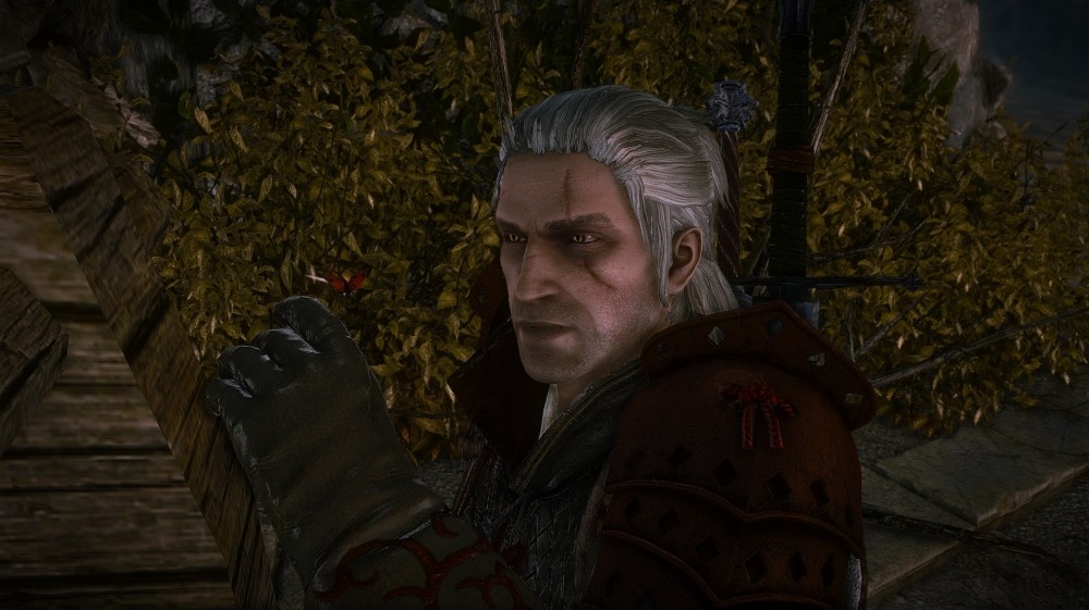 The Witcher 2: Assassins of Kings