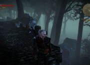 The Witcher 2: Assassins of Kings