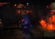 The Witcher 2 screenshot