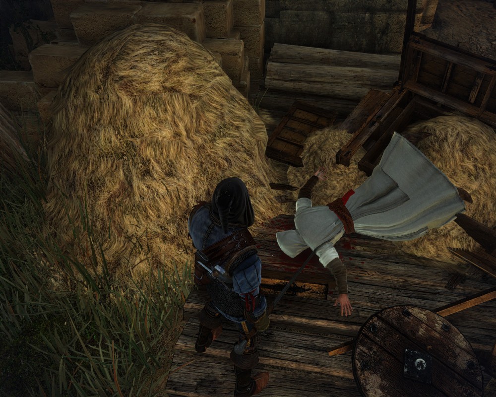 The Witcher 2: Assassins of Kings