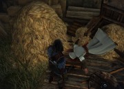 The Witcher 2: Assassins of Kings