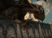 The Witcher 2 screenshot