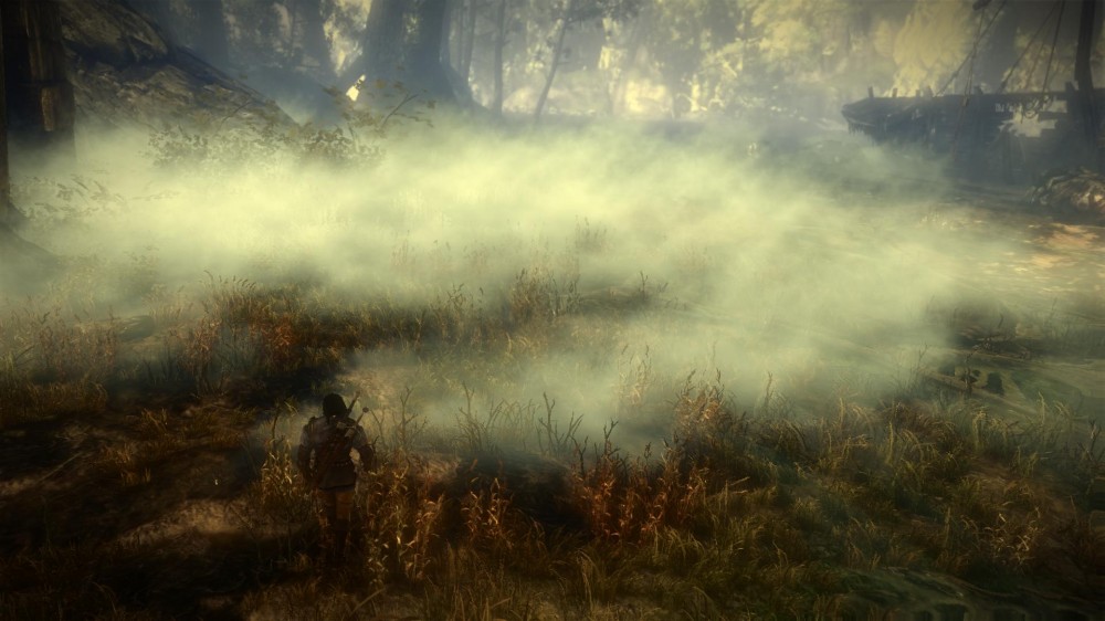 The Witcher 2: Assassins of Kings
