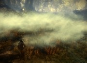 The Witcher 2: Assassins of Kings