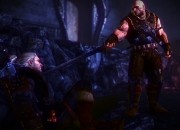 The Witcher 2: Assassins of Kings