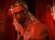 The Witcher 2 screenshot
