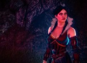 The Witcher 2: Assassins of Kings