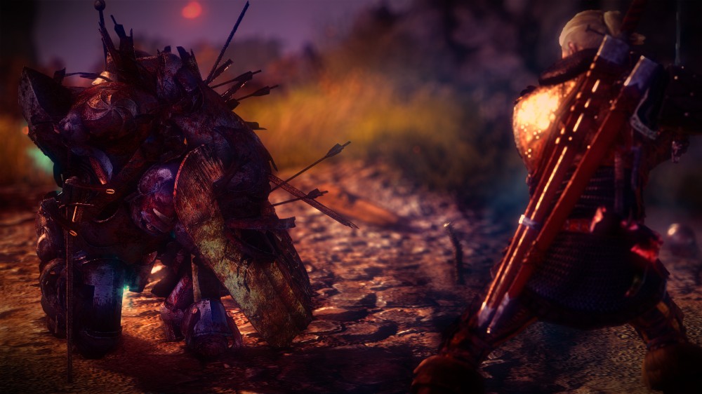 The Witcher 2: Assassins of Kings