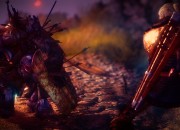 The Witcher 2: Assassins of Kings