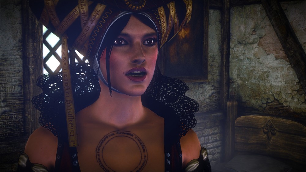 The Witcher 2: Assassins of Kings