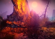 The Witcher 2: Assassins of Kings