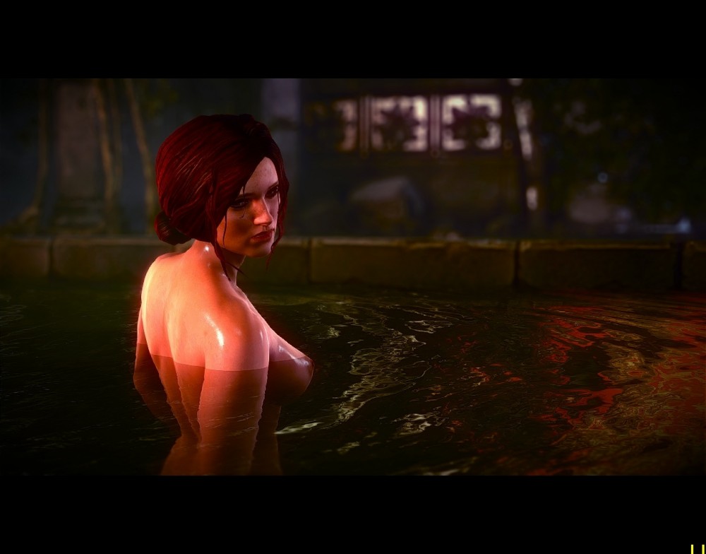 The Witcher 2: Assassins of Kings