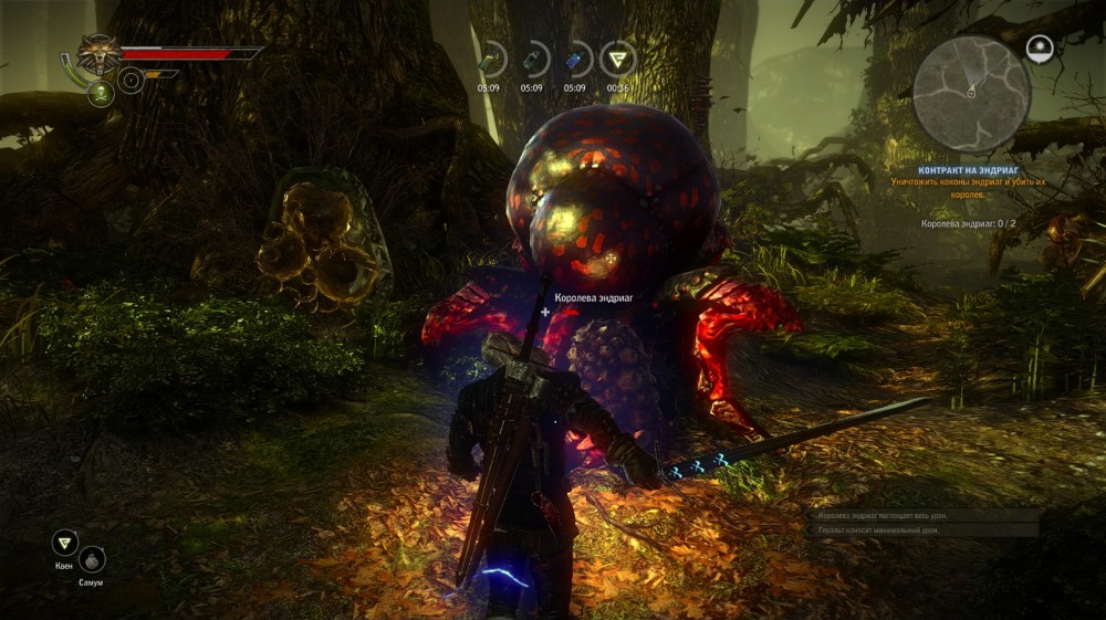 The Witcher 2: Assassins of Kings