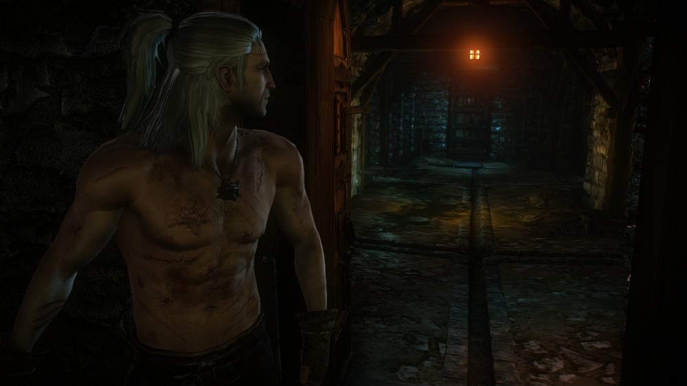 The Witcher 2: Assassins of Kings