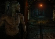 The Witcher 2 screenshot