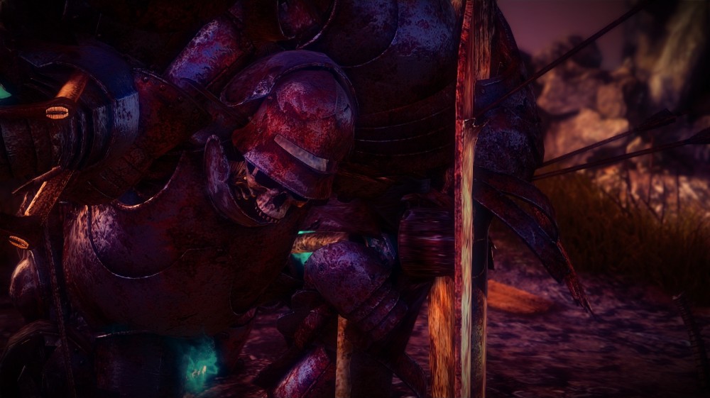 The Witcher 2: Assassins of Kings