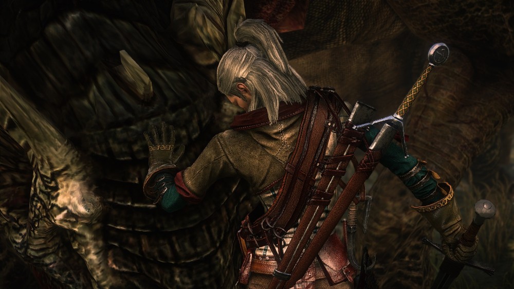 The Witcher 2: Assassins of Kings