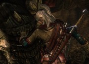 The Witcher 2: Assassins of Kings