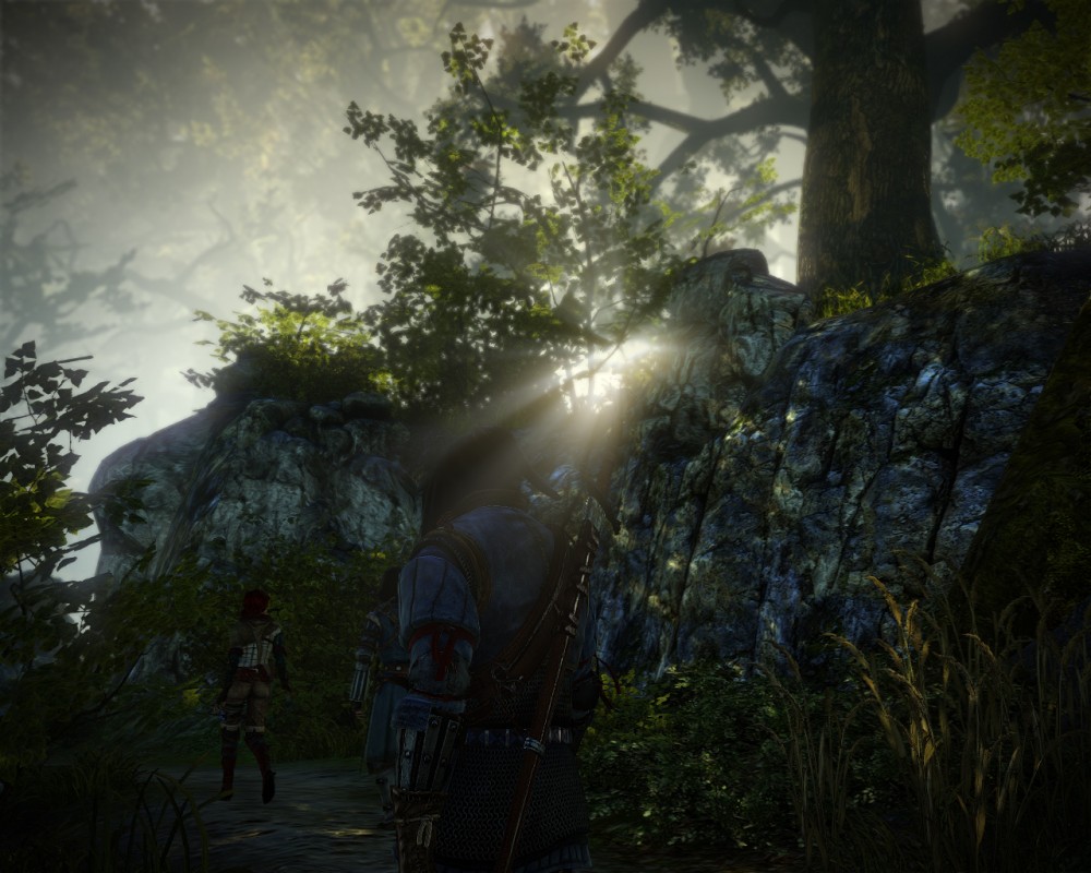 The Witcher 2: Assassins of Kings
