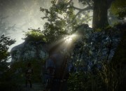 The Witcher 2 screenshot