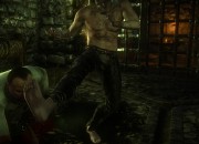 The Witcher 2 screenshot