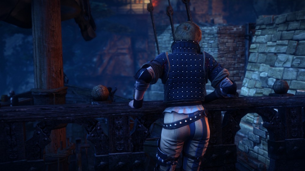 The Witcher 2: Assassins of Kings