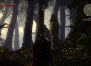 The Witcher 2: Assassins of Kings