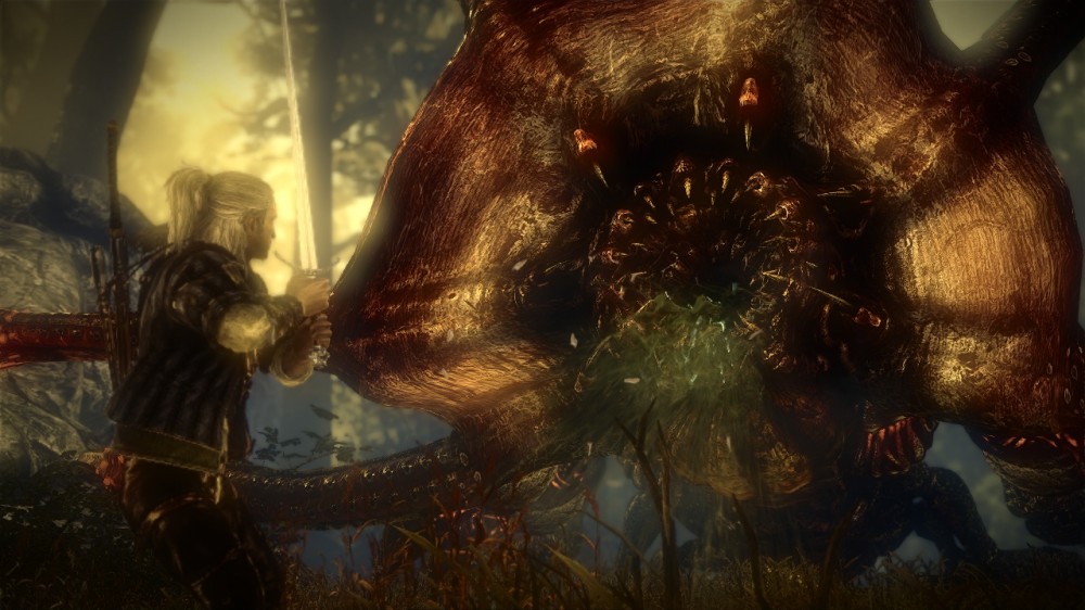 The Witcher 2: Assassins of Kings