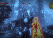 The Witcher 2 screenshot