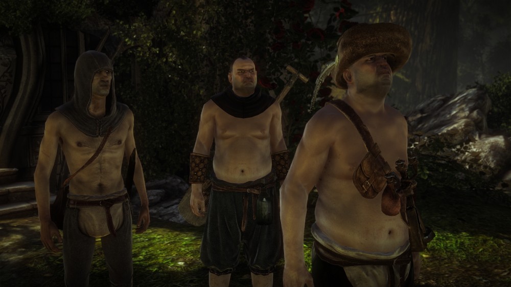 The Witcher 2: Assassins of Kings