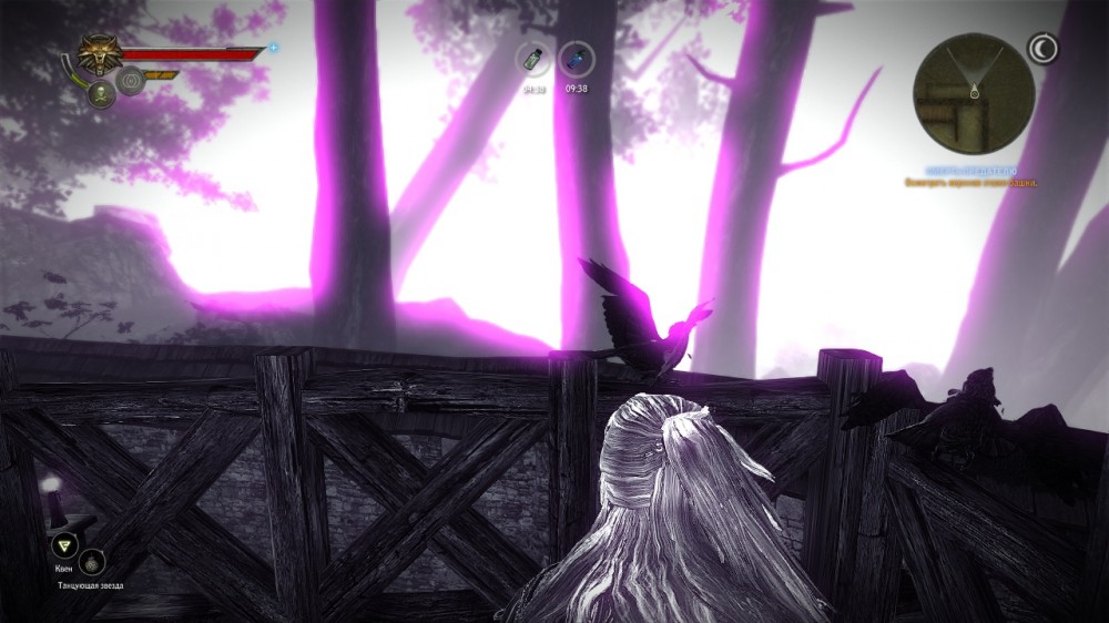 The Witcher 2: Assassins of Kings