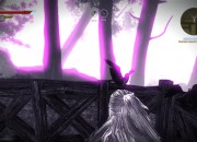 The Witcher 2 screenshot
