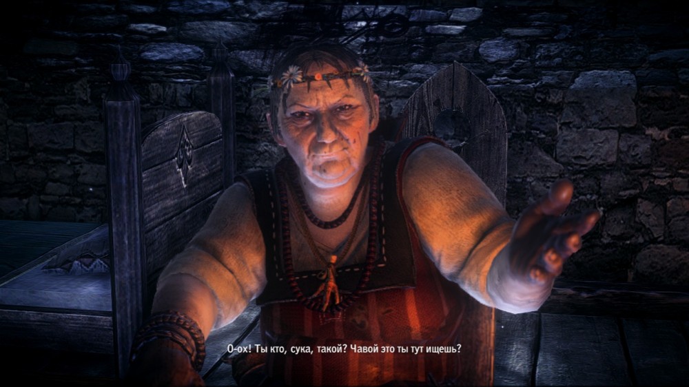 The Witcher 2: Assassins of Kings