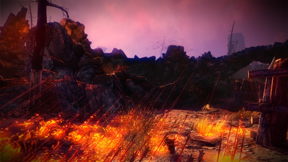 The Witcher 2: Assassins of Kings