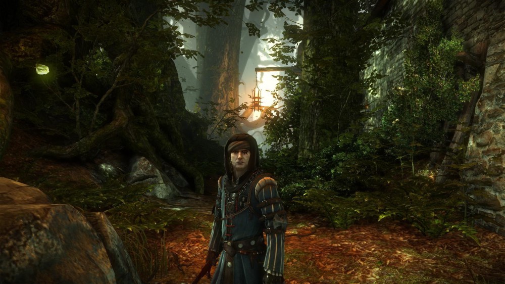 The Witcher 2: Assassins of Kings