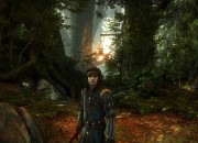 The Witcher 2: Assassins of Kings