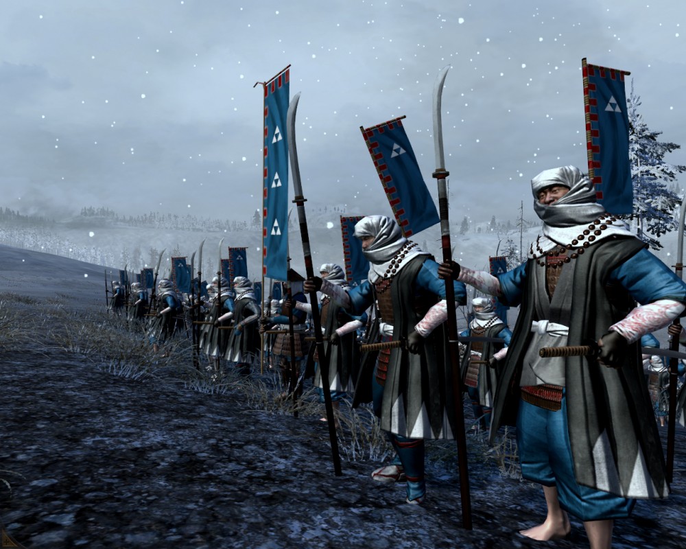 Total War: Shogun 2