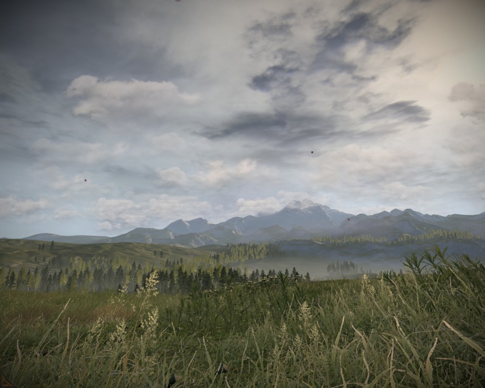 Total War: Shogun 2