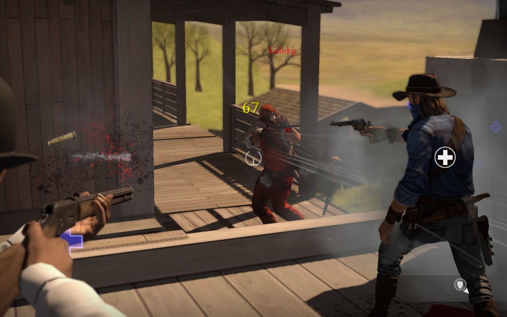 Lead and Gold: Gangs of the Wild West