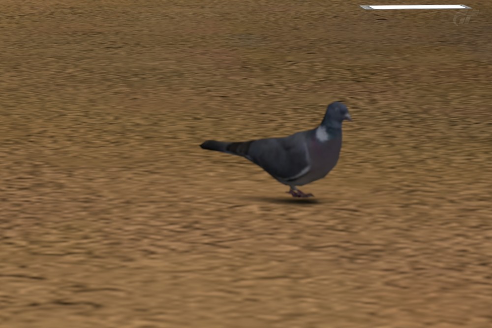 Gran Turismo 5