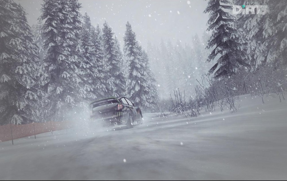 DiRT 3