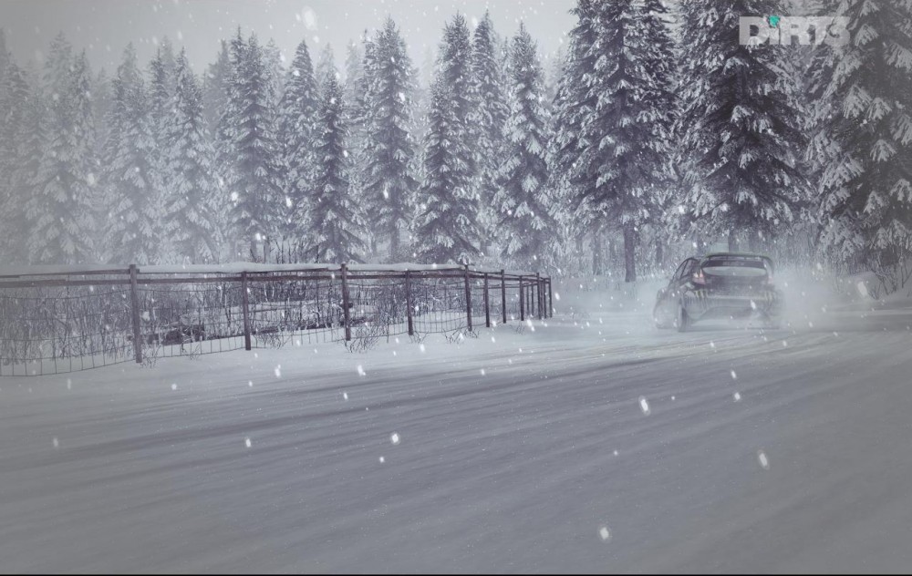 DiRT 3