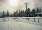 DiRT 3