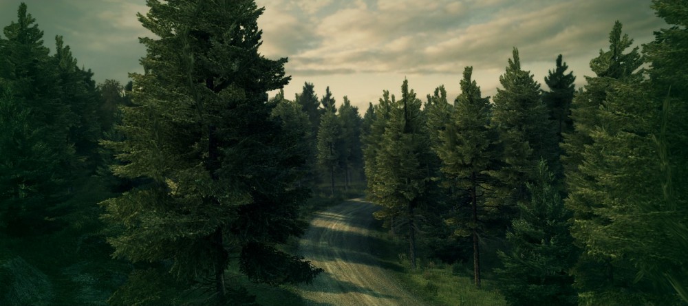 DiRT 3
