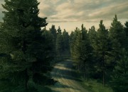 DiRT 3