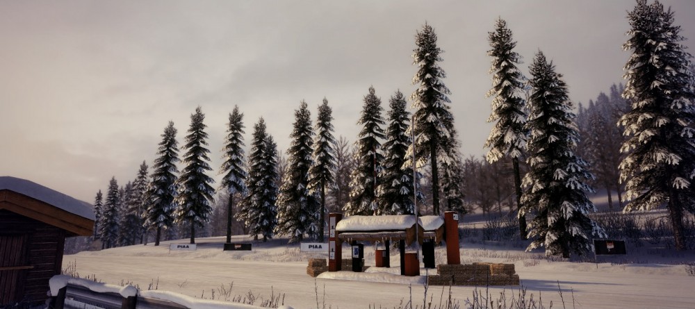 DiRT 3