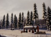DiRT 3