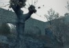 DiRT 3